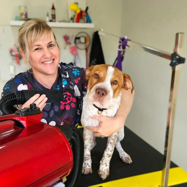 Medium dog enjoying a wash and nail clipping session at Snuggle & Snip